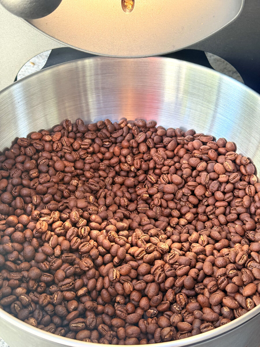 Freshly roasted coffee beans in the cooling tray