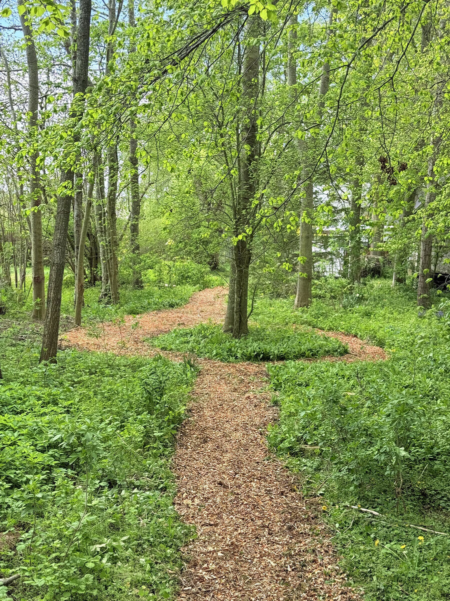A woodland path near the LADN coffee roastery in Österlen, southern Sweden